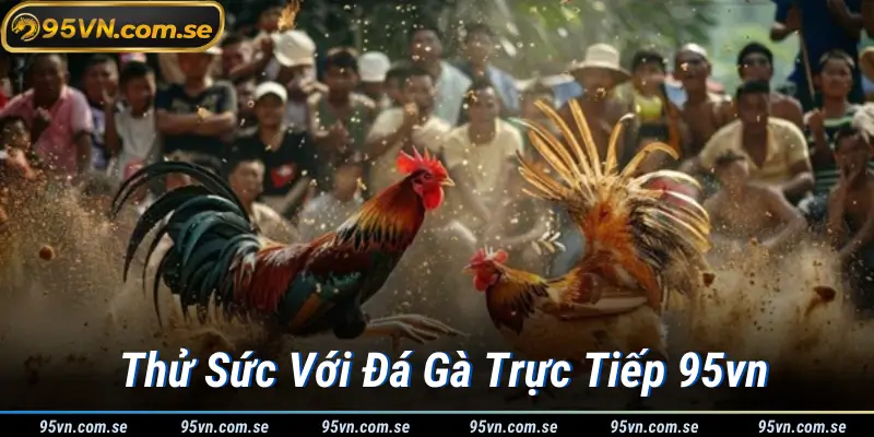 Thử Sức Với Đá Gà Trực Tiếp 95vn